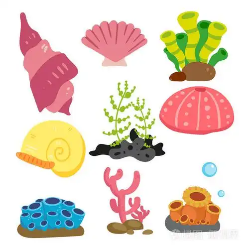 珊瑚矢量采集设计, 海洋植物矢量采集设计插画-正版商用图片05yq8a-摄