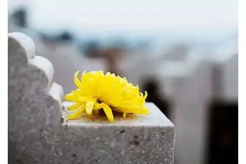 女水呜咽;长歌当哭,拙笔追思——愿郭志刚老师一路走好!