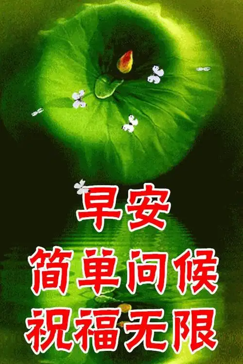 今日最新早安早上好祝福图片带字,愿你开心每一天,健康美好