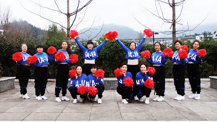 12人变队形花球舞元旦特呈《秀丽江山》附队形教学 - 欧欧广场舞