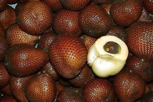 世界十大最恶心水果,诺丽果闻一下就想吐(3)_巴拉排行榜