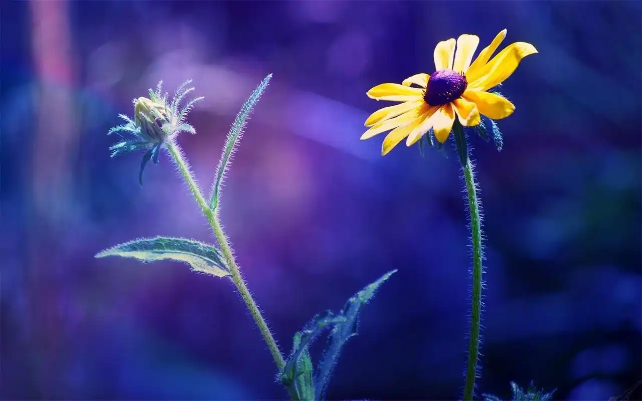 美桌网收集了众多爱好风景摄影的朋友的作品,选取优秀的风景图