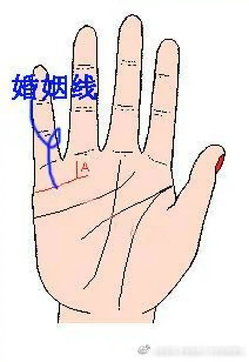 手相看多大年龄结婚(手相看多大年龄结婚比较好)