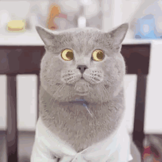 aaron和michael的粉丝数呈指数型增长还拥有了自己的线上店铺出售一些