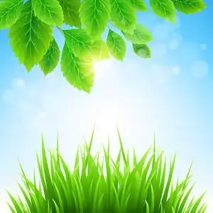 植物的天然湖泊的抽象田园风光农田景观, 绿色田野, 草地蓝天, 春天