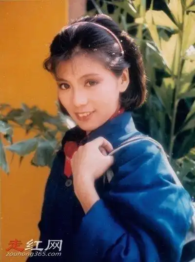 沈殿霞翁美玲事件怎么回事真的是沈害死翁美玲吗