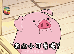 动物我的小可爱呢soogifsoogif出品gif动图_动态图_表情包下载_soogif