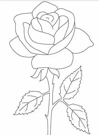 玫瑰花的简笔画 玫瑰花的简笔画一朵