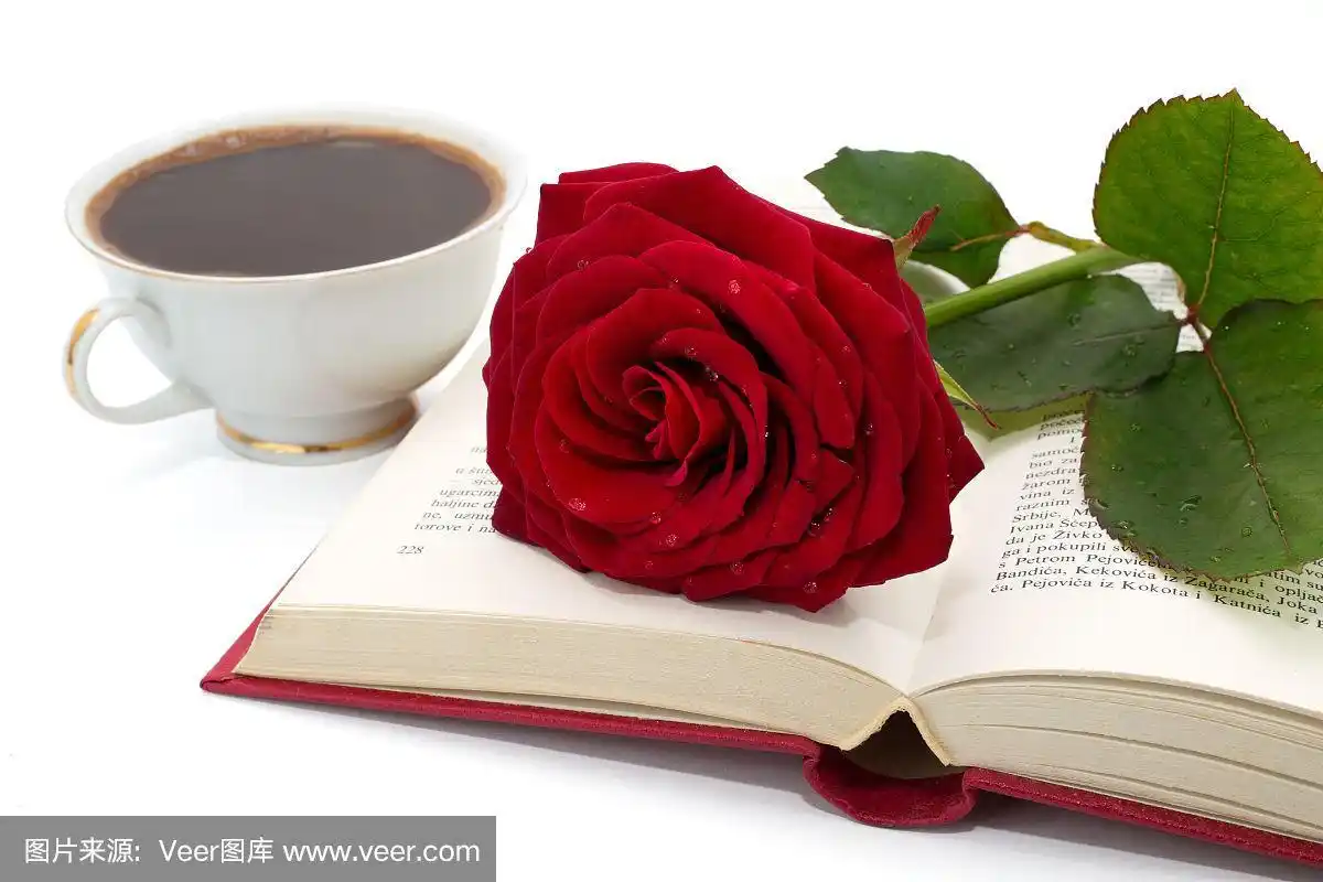 打开一本美丽的红玫瑰和一杯咖啡的书