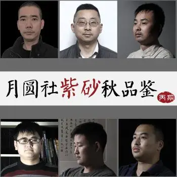 壶名家全手工泡茶壶陶瓷功夫茶具球孔西施石瓢壶 紫泥山居半月~何国祥