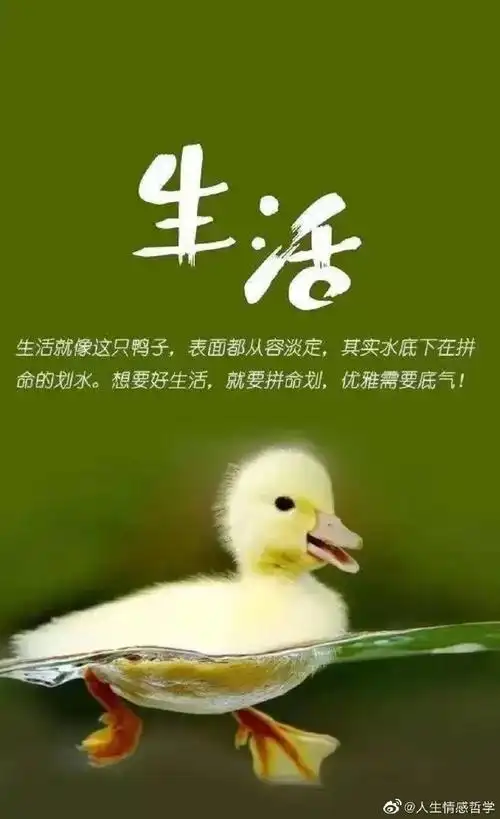 心灵鸡汤# 生活中有许多事情,往往与你的. 来自人生情感哲学 - 微博