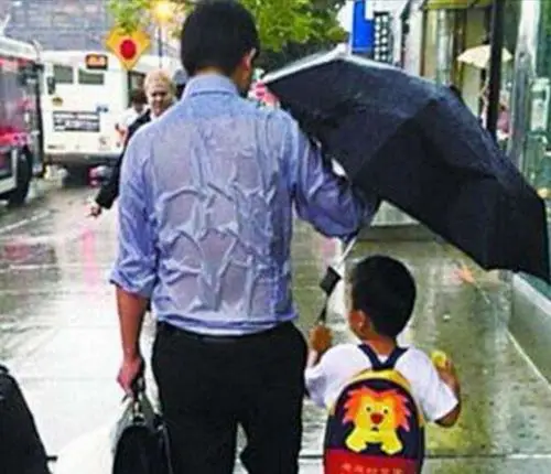 一幕幕感人故事,催人泪下!