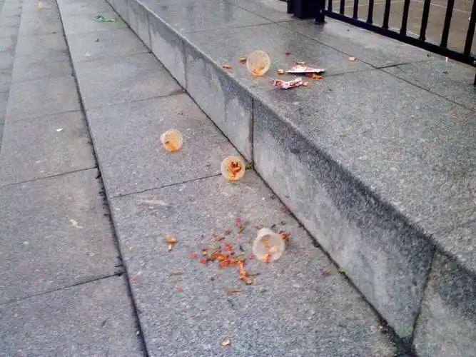 讲文明_从不不乱扔垃圾做起ppt