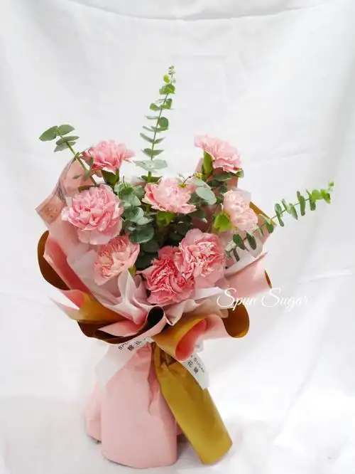 康乃馨小花束图片(康乃馨小花束图片 小型)