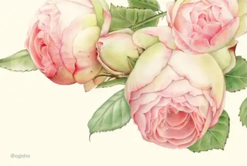 水彩手绘 花碎花 田园墙纸 背景素材平铺 iphone壁纸