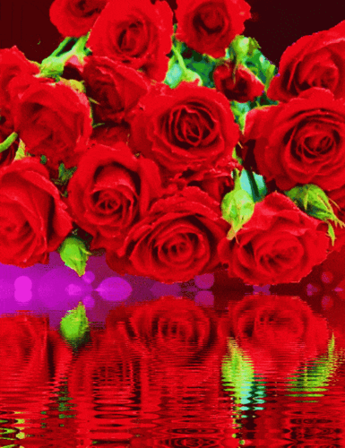 绝美动态玫瑰倒影花册太绝美了