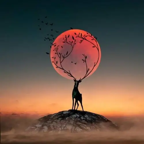 一组超美的图片 | 这意境,绝了_微信头像_我要个性网