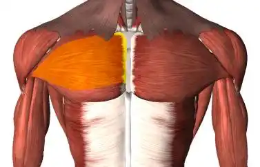 课堂别再说你不懂拉伸胸大肌