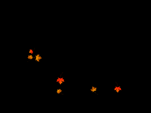 黑夜枫叶飘落浪漫特效gif动图_动态图_表情包下载_soogif