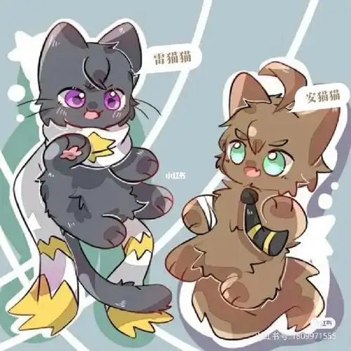 小姐你选哪只猫