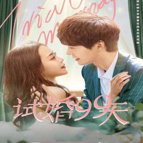 【试婚99天】陈泽,王珮寒电视剧碟片dvd