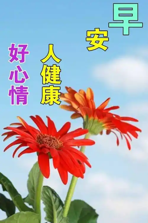 言语,简单却很温馨,简单却很幸福,简单却很深奥,亦能感动我过一种生活