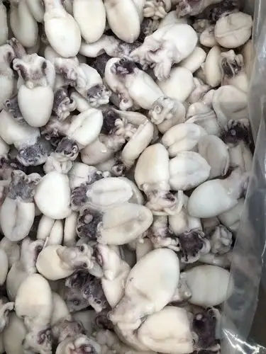 批发去脏冷冻墨鱼仔干冰熟冻2斤装 火锅食材夜市餐饮酒店外卖