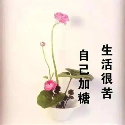 看淡一切善待自己治愈风景图片分享!