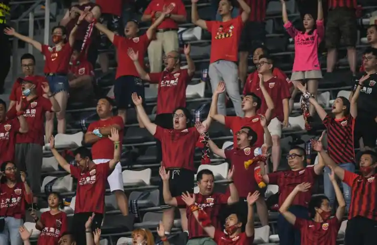 (竞技体育)现场观众让足球盛宴味道更浓