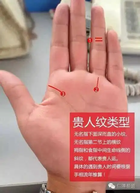 的斜纹,手腕凹线下的长纹它们都有特定名称,不过统统属于"贵人纹"类型