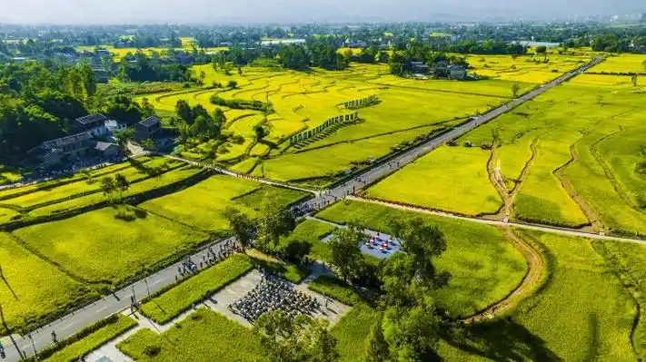 晒出乡村游非凡魅力重庆四季好风光达人采风行活动启动