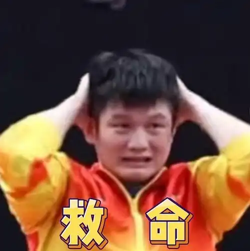 家人们想收集一些国乒表情包