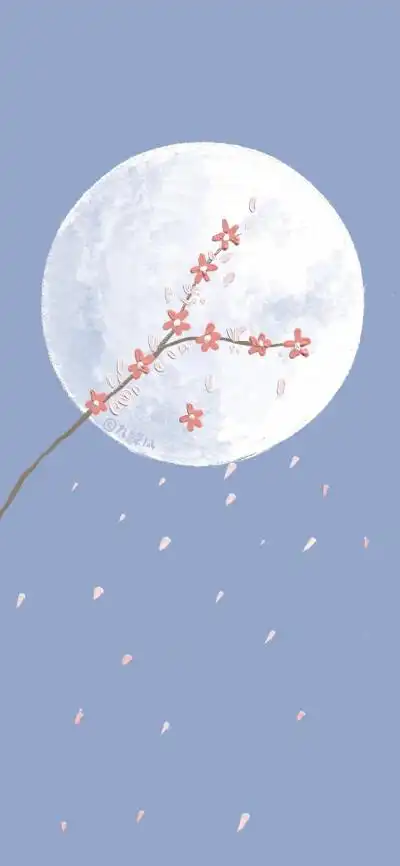 壁纸- 堆糖,美图壁纸兴趣社区