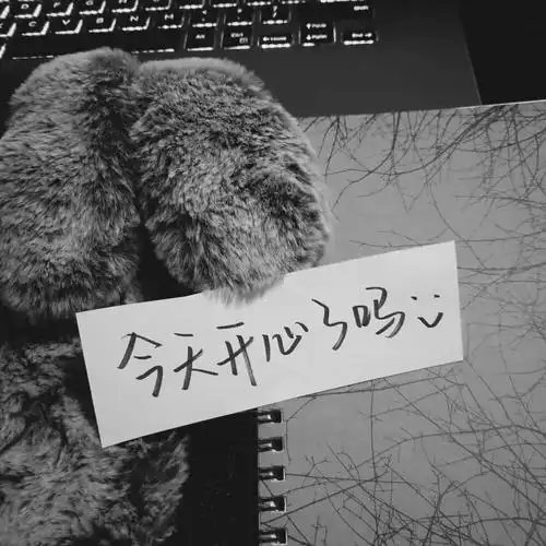 背景by快手肥婷