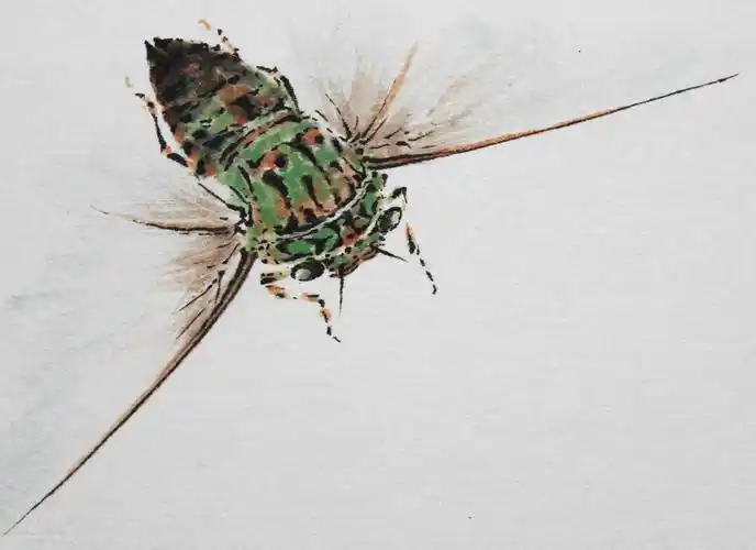 王菂《蝉乐》浙江画院研究员