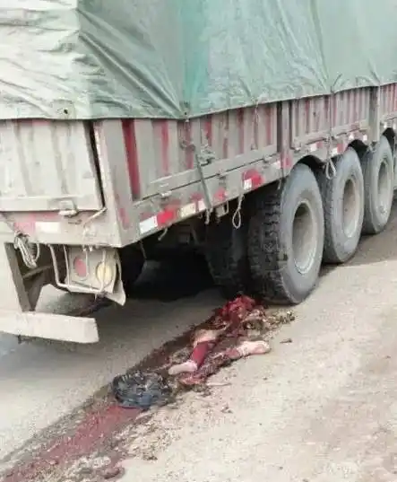 从照片中我们可以看出,小孩已经被大货车压得粉身碎骨,实在是血腥了!