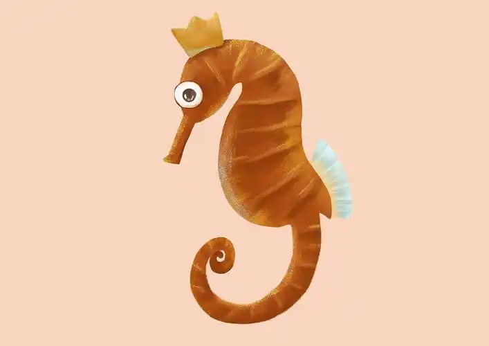 海洋动物|插画|创作习作|粨糖 - 原创作品 - 站酷 (zcool)