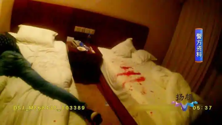 男子宾馆里被捅伤事发房间内还有三只背后原因不简单