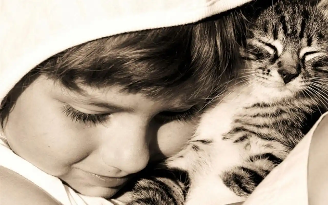 可爱宝宝和超萌宠物唯美写真桌面壁纸第二辑