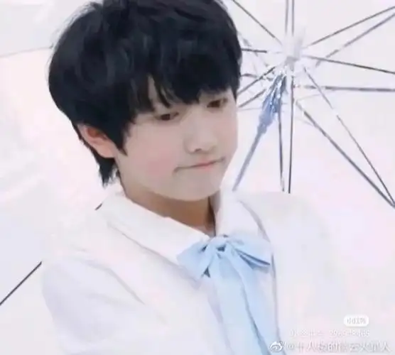 tf家族早期幼崽