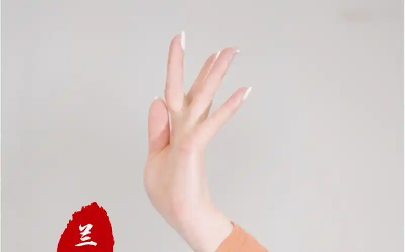 舞林一分钟古典舞基础三个手型讲解