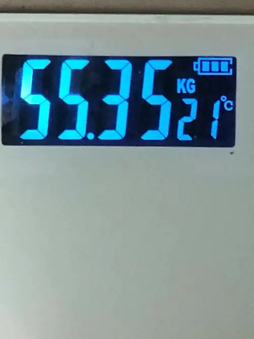 什么时候才能减到55kg以下06