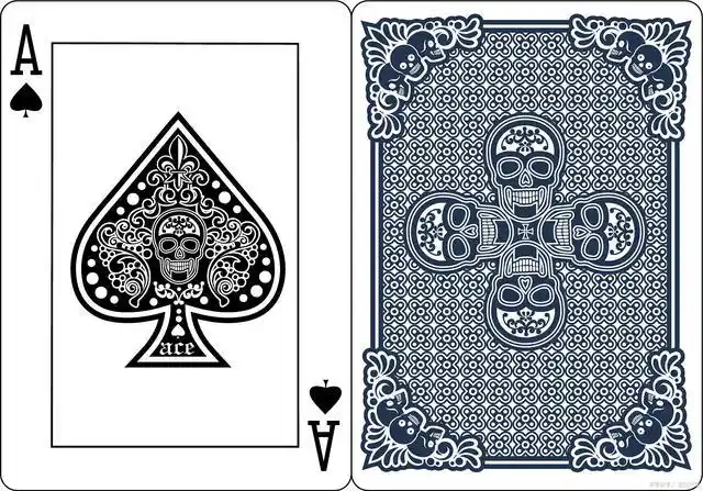 扑克牌的小丑(joker)和黑桃a(ace)