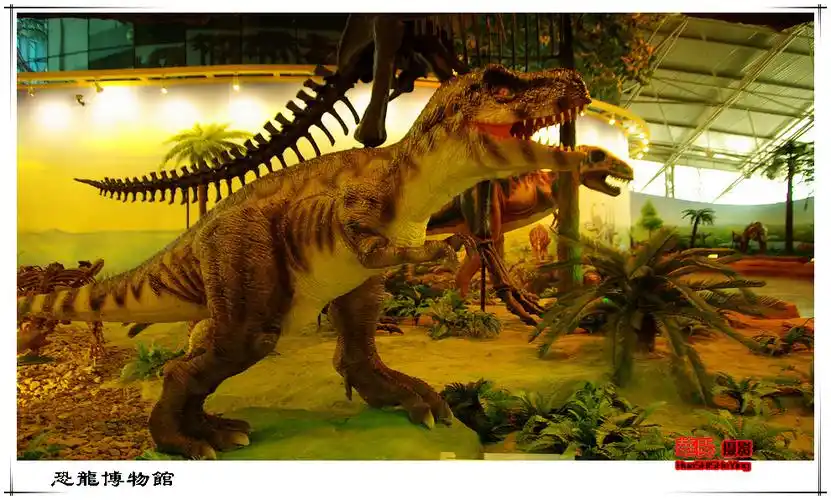 伊春掠影——嘉荫恐龙博物馆