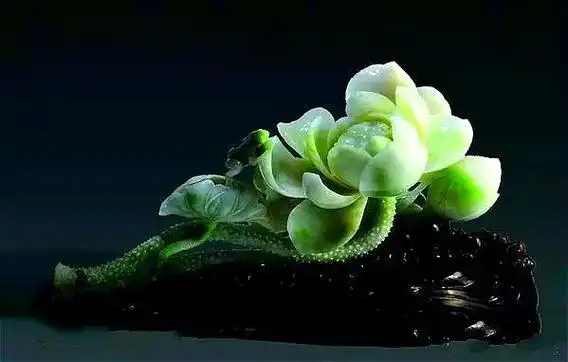 玉雕荷花(下)