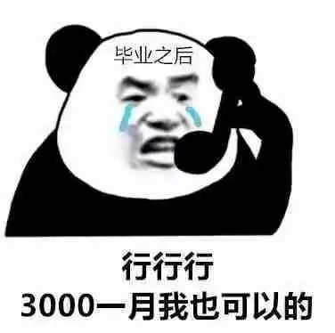 毕业之后行行行3000一月我也可以的一月3000行行行表情