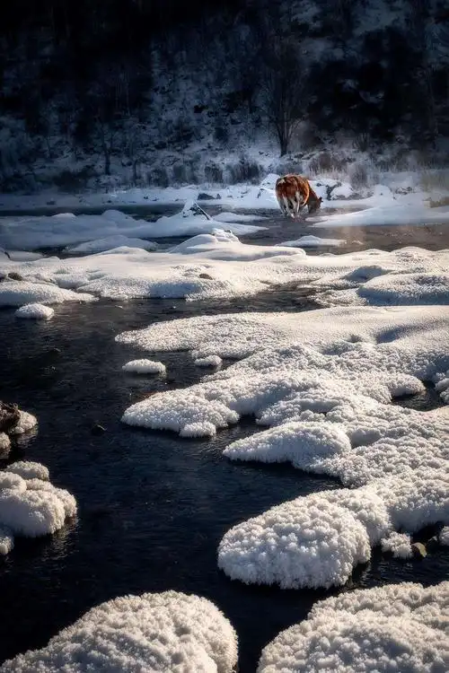 快乐摄影群群友摄影 摄像 分享作品欣赏第114期