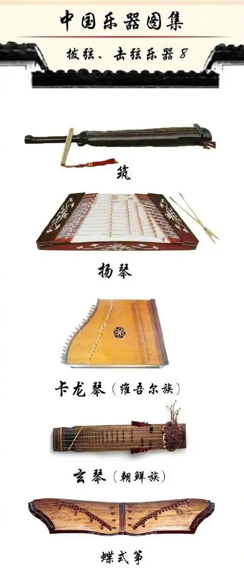 中国乐器图鉴! zt