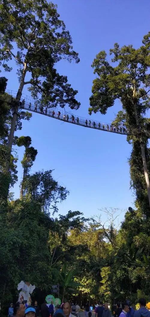 让我们的生活充满阳光,让我的孩子们及亲人在西双版纳渡过美好的春节!