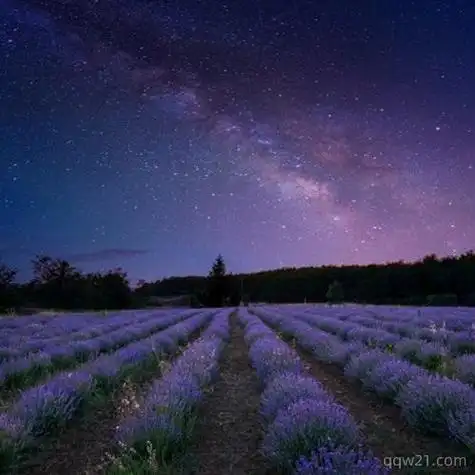 原宿风景头像,黑色夜幕下闪闪的银河星空风景图片-唯美头像